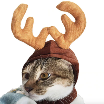 Cat Christmas Costumes