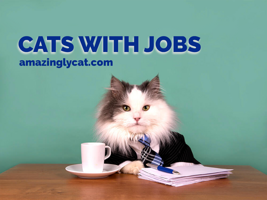 Cats With Jobs