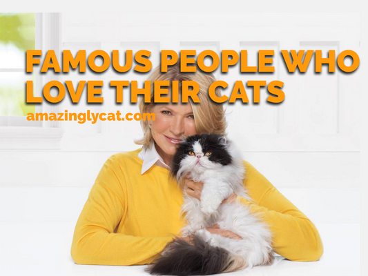 10 Well-Known Celebrities Who Are Cat Lovers