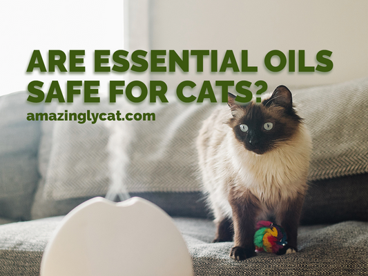 Are Essential Oils Safe for Cats?