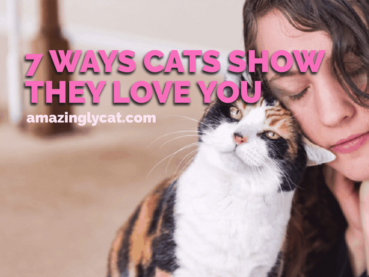 7 Ways Cats Show They Love You
