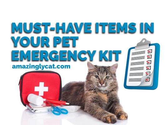 Must-Have Items for a Pet Emergency Kit
