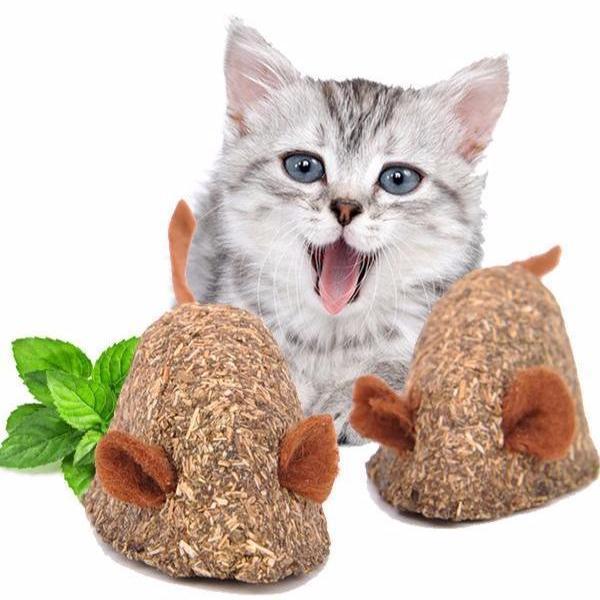 Catnip Treats Assortment