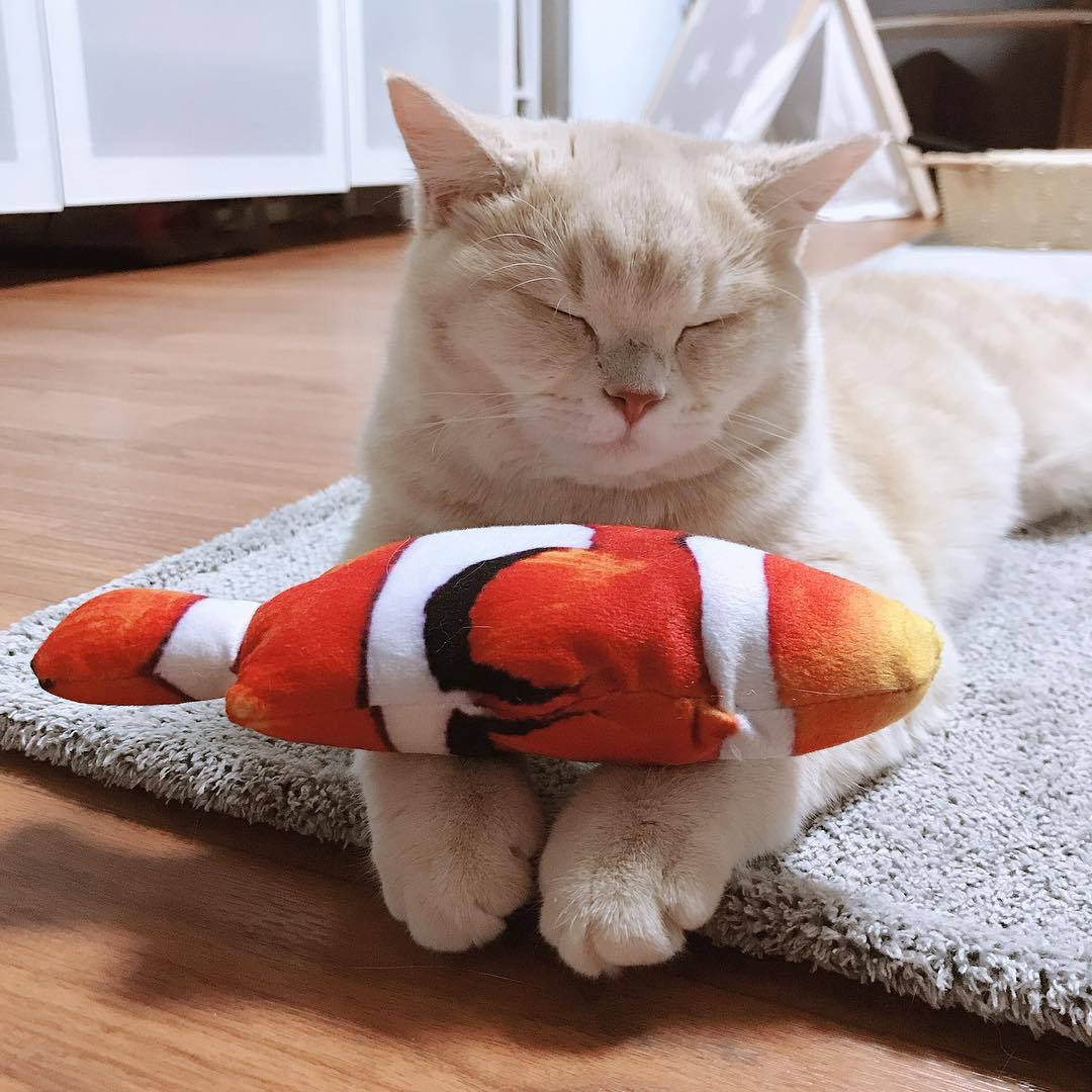 Realistic Looking Cat Kicker Fish Toy [NON-MOVING]