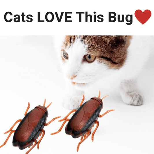 Lifelike Robot Bug Toy