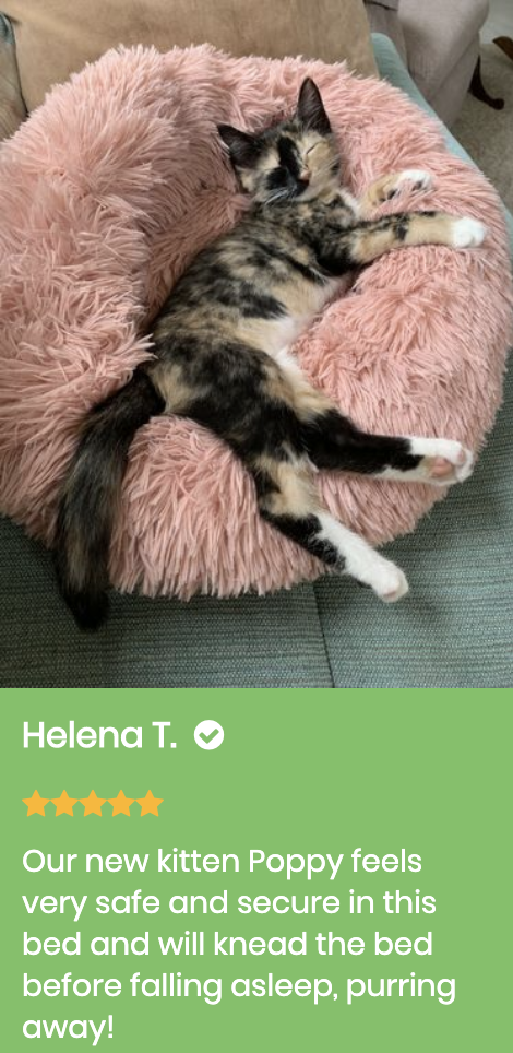 Marshmallow Cat Bed Giveaway