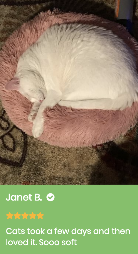 Marshmallow Cat Bed Giveaway