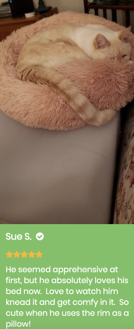 Marshmallow Cat Bed Giveaway