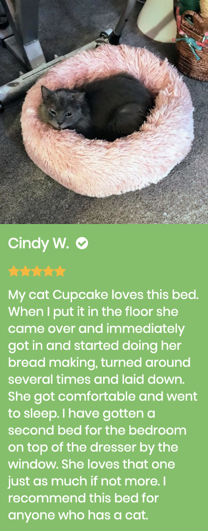 Marshmallow Cat Bed Giveaway