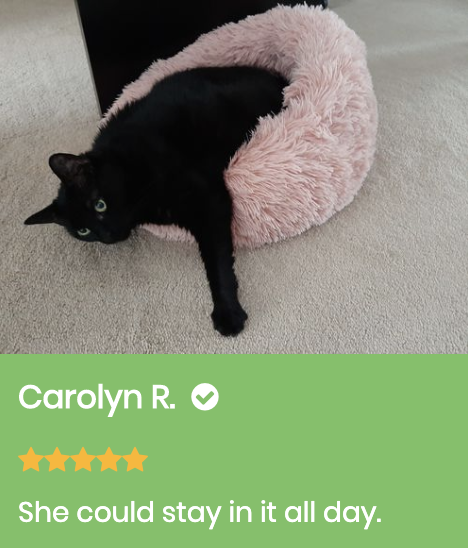 Marshmallow Cat Bed Giveaway