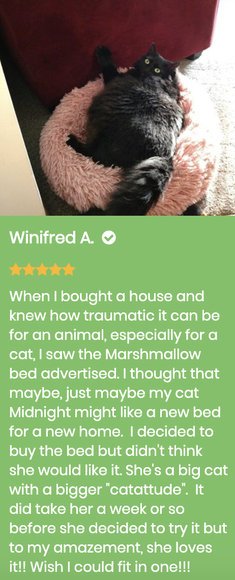 Marshmallow Cat Bed Giveaway
