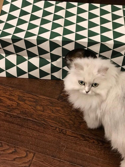 [SALE] Hideout Cat Tunnel Toy
