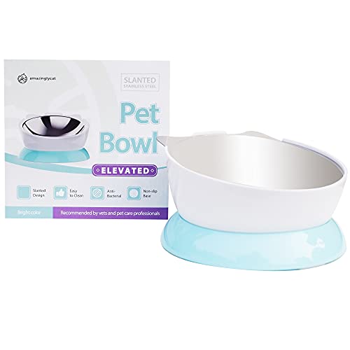 Stainless Steel Elevated Cat Bowl