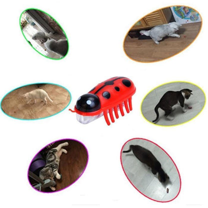 Amazing Robot Bug Toy For Cats [Bogo!] Interactive Cat Toys