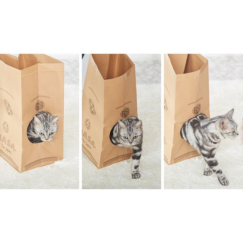 Cat Paper Bag Tunnel With Scratcher