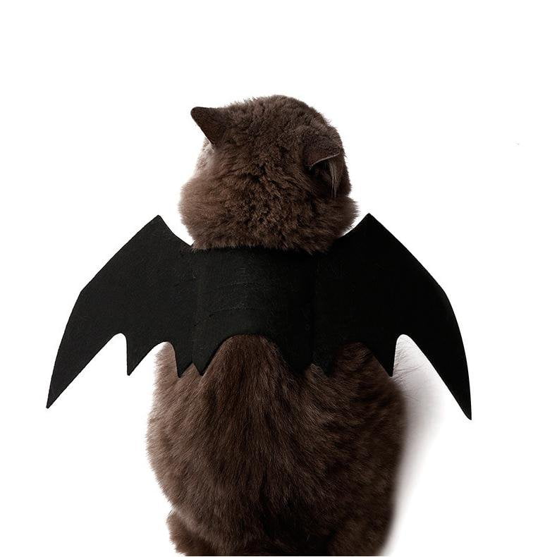 Easy Batwings Cat Halloween Costume [SOLD OUT]