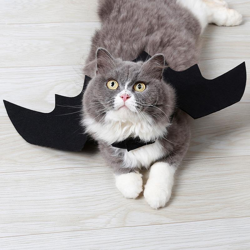 Easy Batwings Cat Halloween Costume [SOLD OUT]