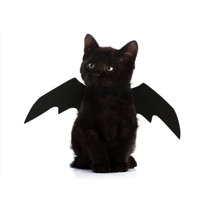 Easy Batwings Cat Halloween Costume [SOLD OUT]