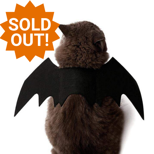 Easy Batwings Cat Halloween Costume [SOLD OUT]