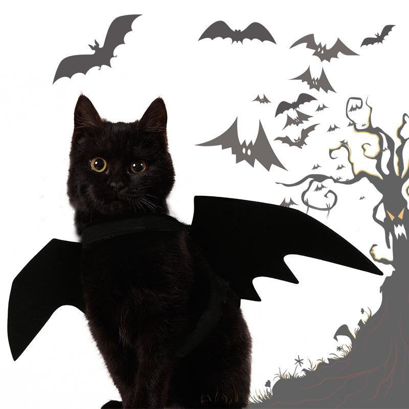 Easy Batwings Cat Halloween Costume [SOLD OUT]