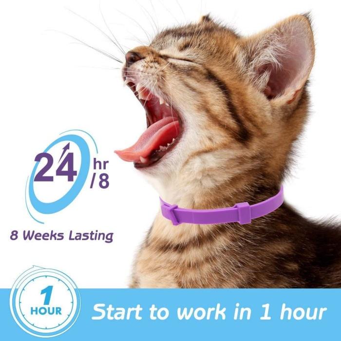 Calming Cat Collar [100% Natural]