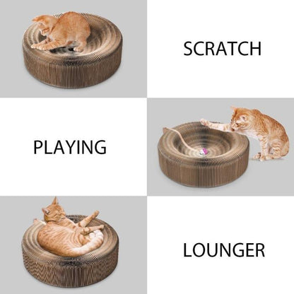 Cat Lounger Seat