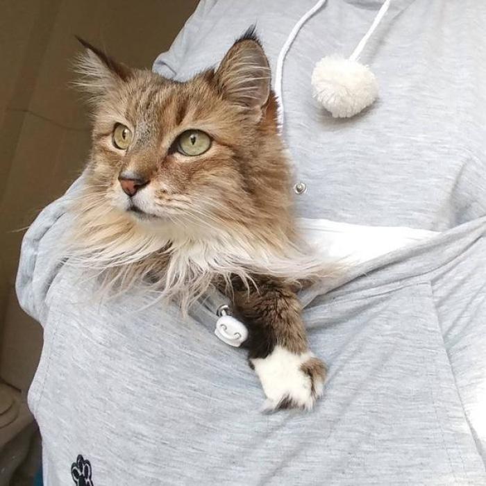 Cozy Cat Hoodie With Kangaroo Pouch [Sale] Hoodies & Sweatshirts