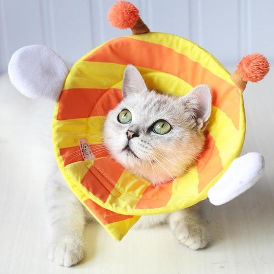 Cute Soft Cat Cone