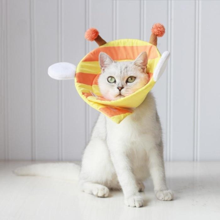 Cute Soft Cat Cone