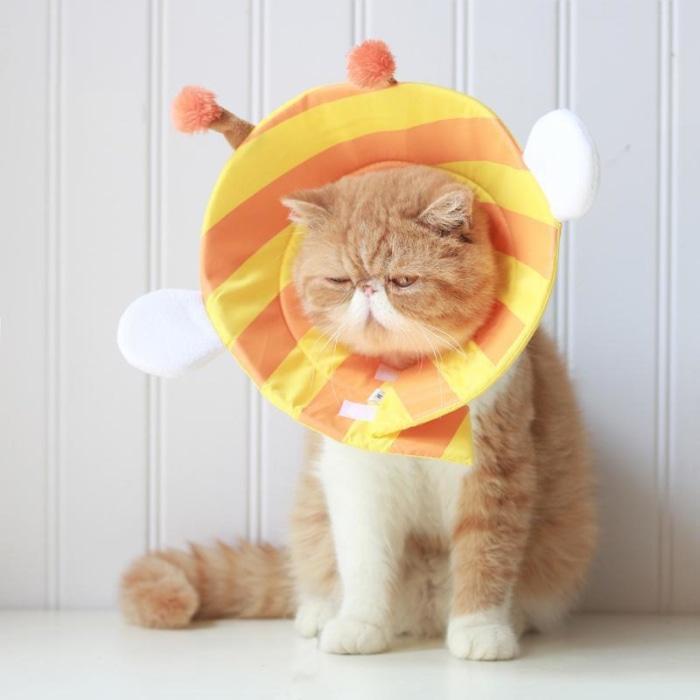 Cute Soft Cat Cone M