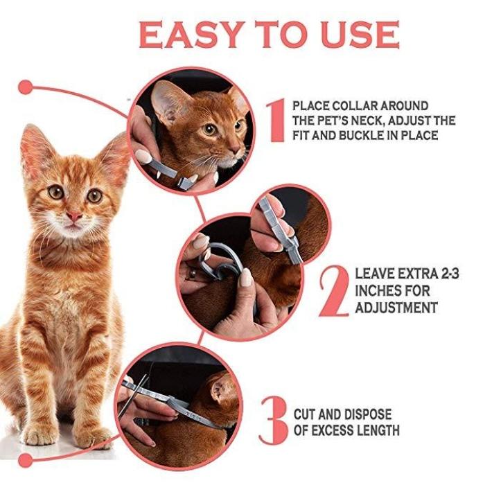 Flea And Tick Guard Collar For Cats [100% Natural]