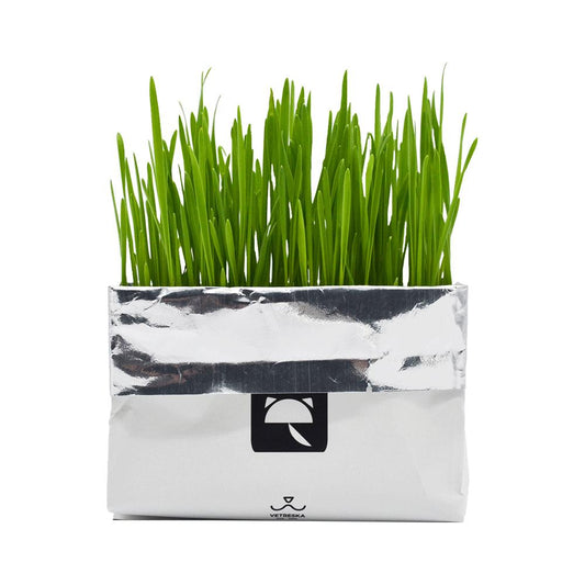 All-In-One Cat Grass Kit