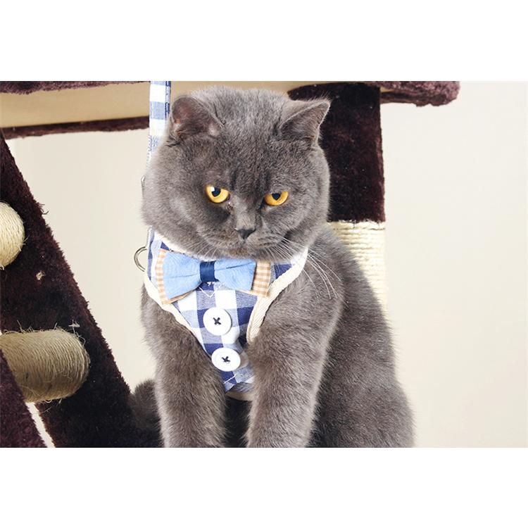 Button Down Cat Harness