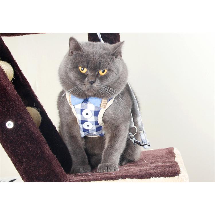 Button Down Cat Harness