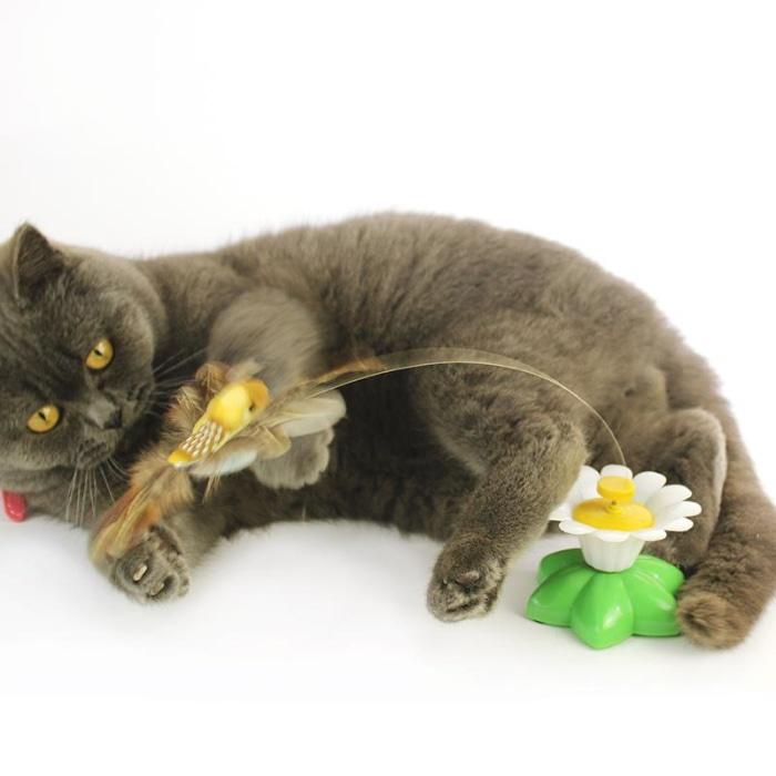 Interactive Bird Toy For Cats Cat Toys