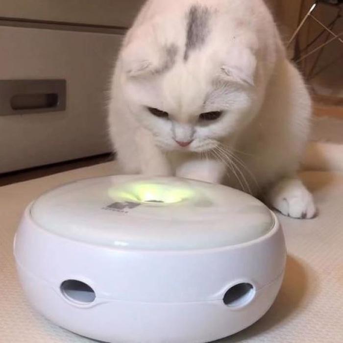 Interactive Ufo Smart Cat Toy