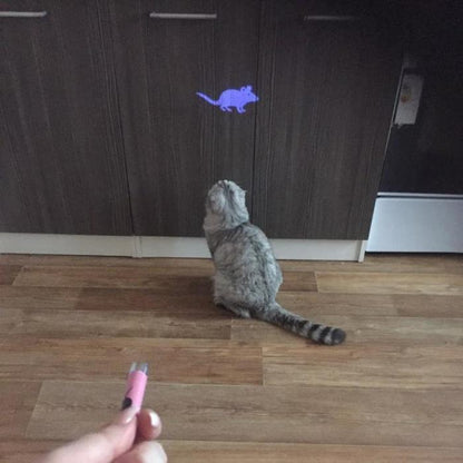 Mouse Laser Cat Toy