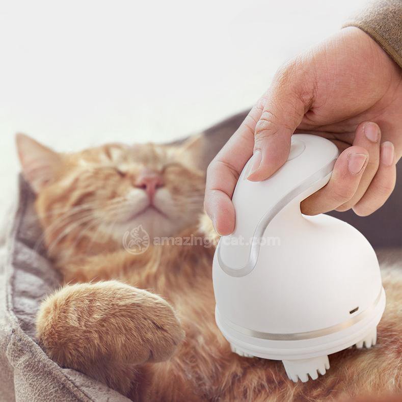 [SOLD OUT] "Pamper Your Cat" Massager