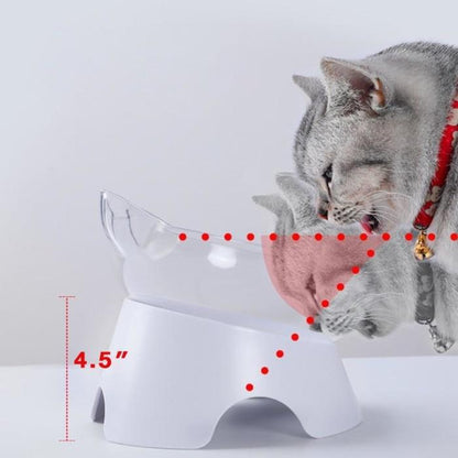 Orthopedic Cat Bowl & Slow Feeder 2-In-1 [Anti-Vomiting]