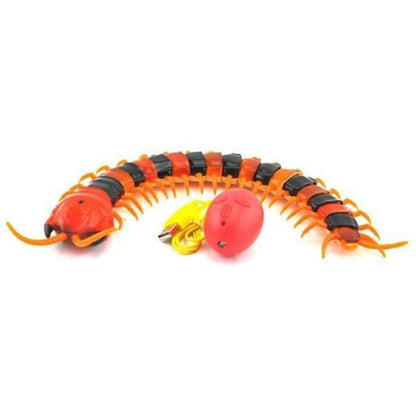 [Sale] Cat & Curious Centipede Toy Remote Control Toys