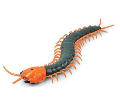[Sale] Cat & Curious Centipede Toy Remote Control Toys