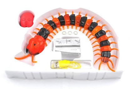 [Sale] Cat & Curious Centipede Toy Remote Control Toys