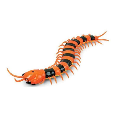 [Sale] Cat & Curious Centipede Toy Striped Remote Control Toys
