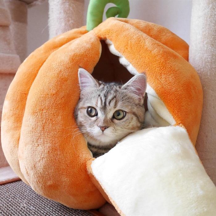 [Sale] Extra Plush Cat Pumpkin Bed