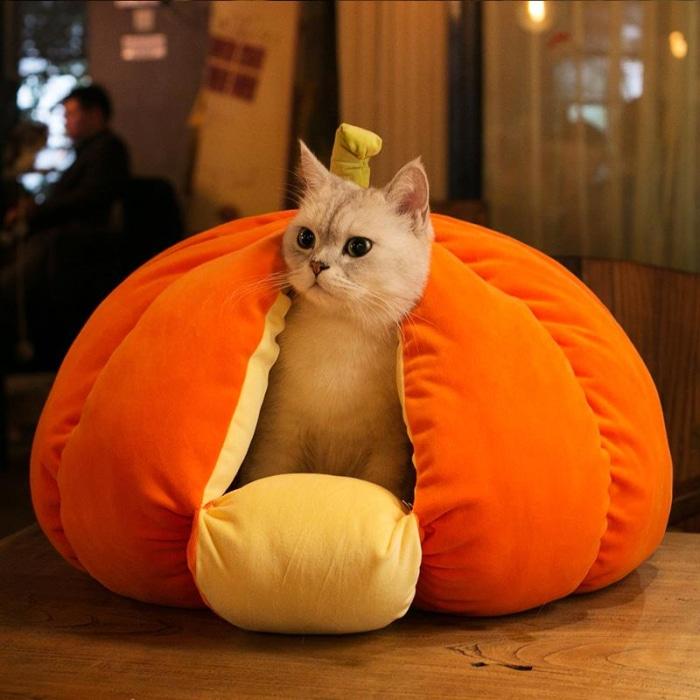 [Sale] Extra Plush Cat Pumpkin Bed