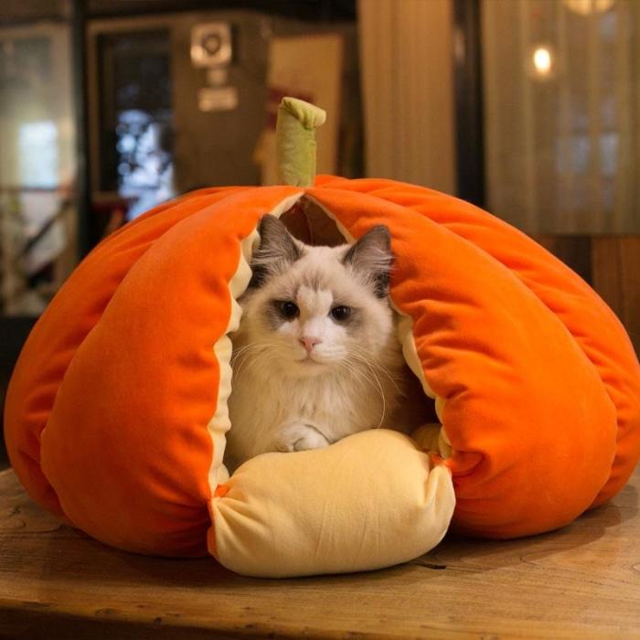 [Sale] Extra Plush Cat Pumpkin Bed