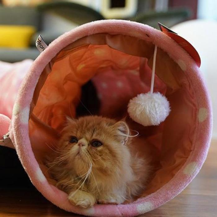 Soft Cat Tunnel With Bed Mat