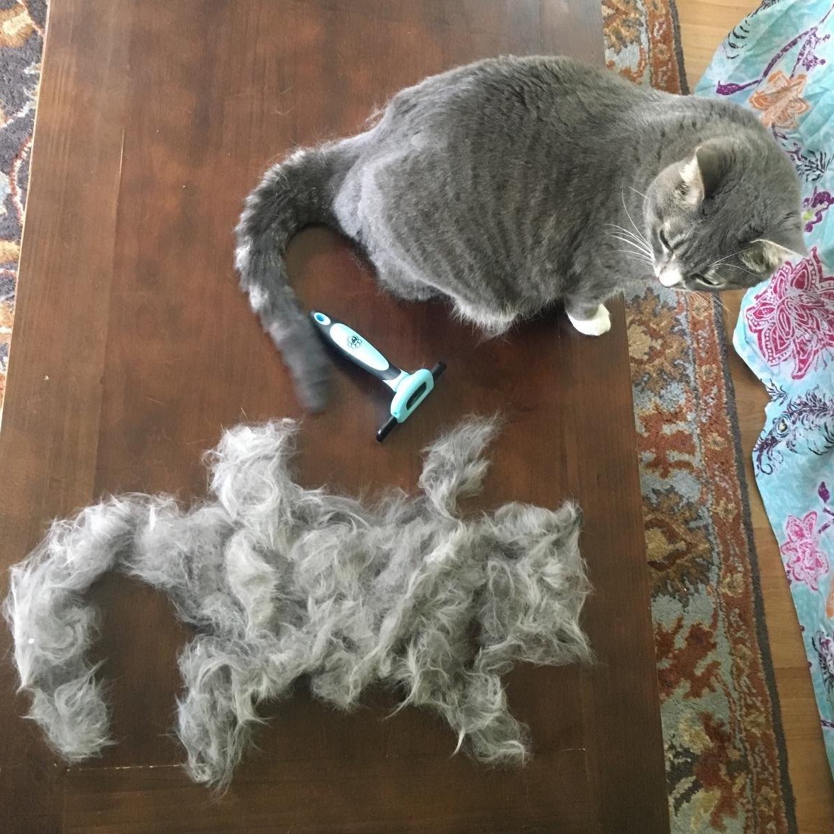 Professional Hair Deshedder