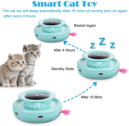 NEW! Electronic Catnip Track Cat Toy