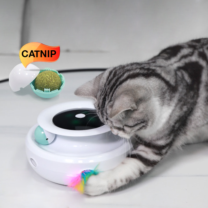 NEW! Electronic Catnip Track Cat Toy